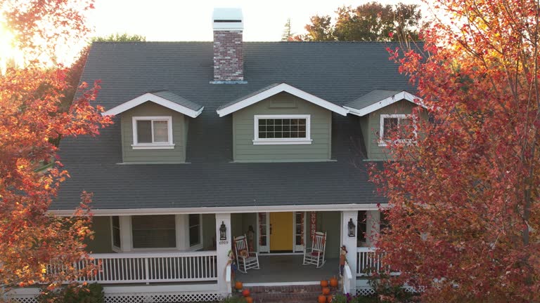 Best Metal Roofing Installation  in Fabens, TX
